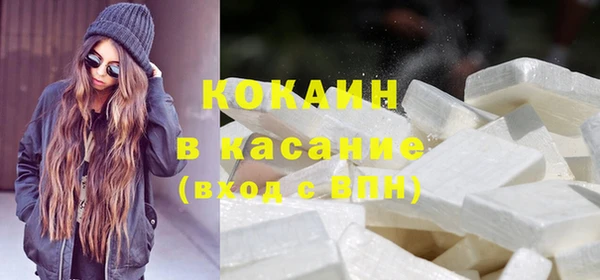 ПСИЛОЦИБИНОВЫЕ ГРИБЫ Арсеньев